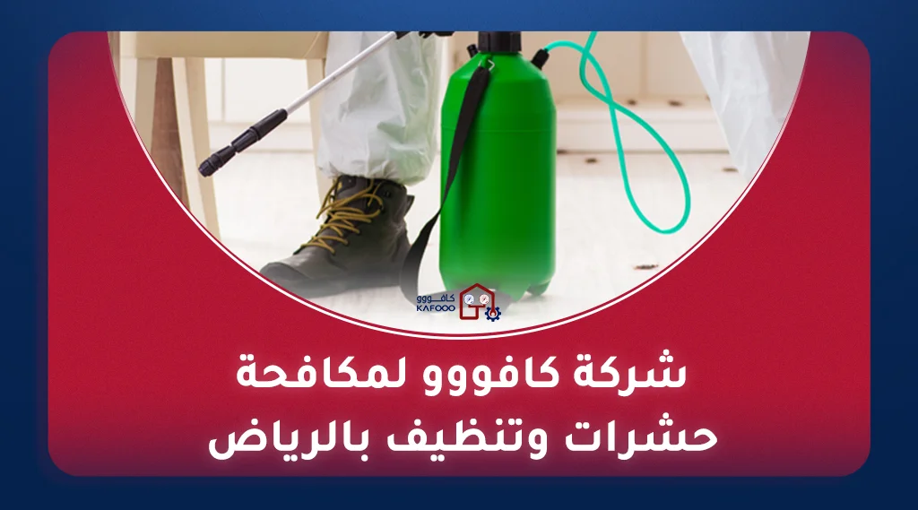 فريق من شركة تنظيف ومكافحة حشرات محترفة يقوم بتعقيم وتطهير أريكة باستخدام معدات متخصصة.