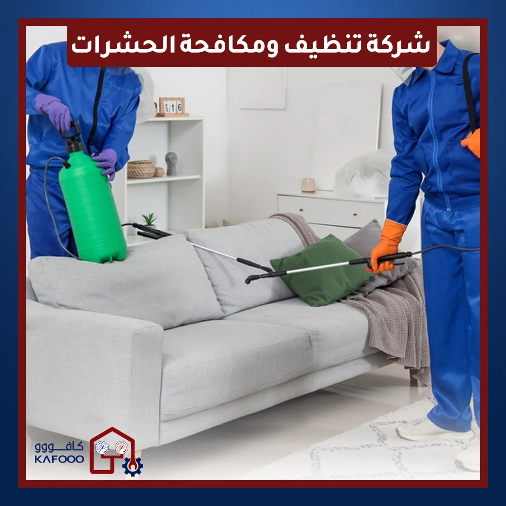 فريق من شركة تنظيف ومكافحة حشرات محترفة يقوم بتعقيم وتطهير أريكة باستخدام معدات متخصصة.
